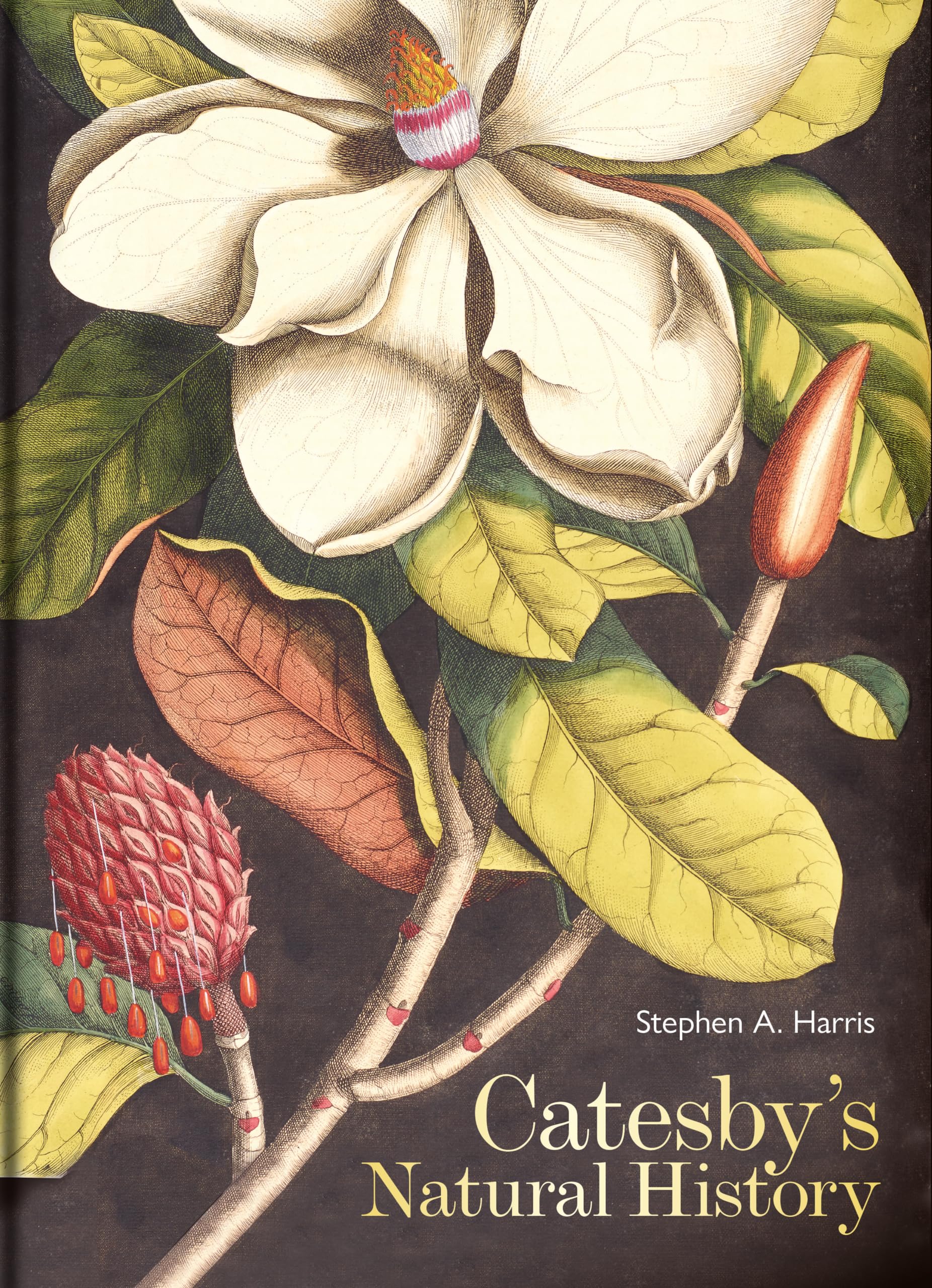 Catesby's Natural History by Stephen A.  Harris (Hardback Book)