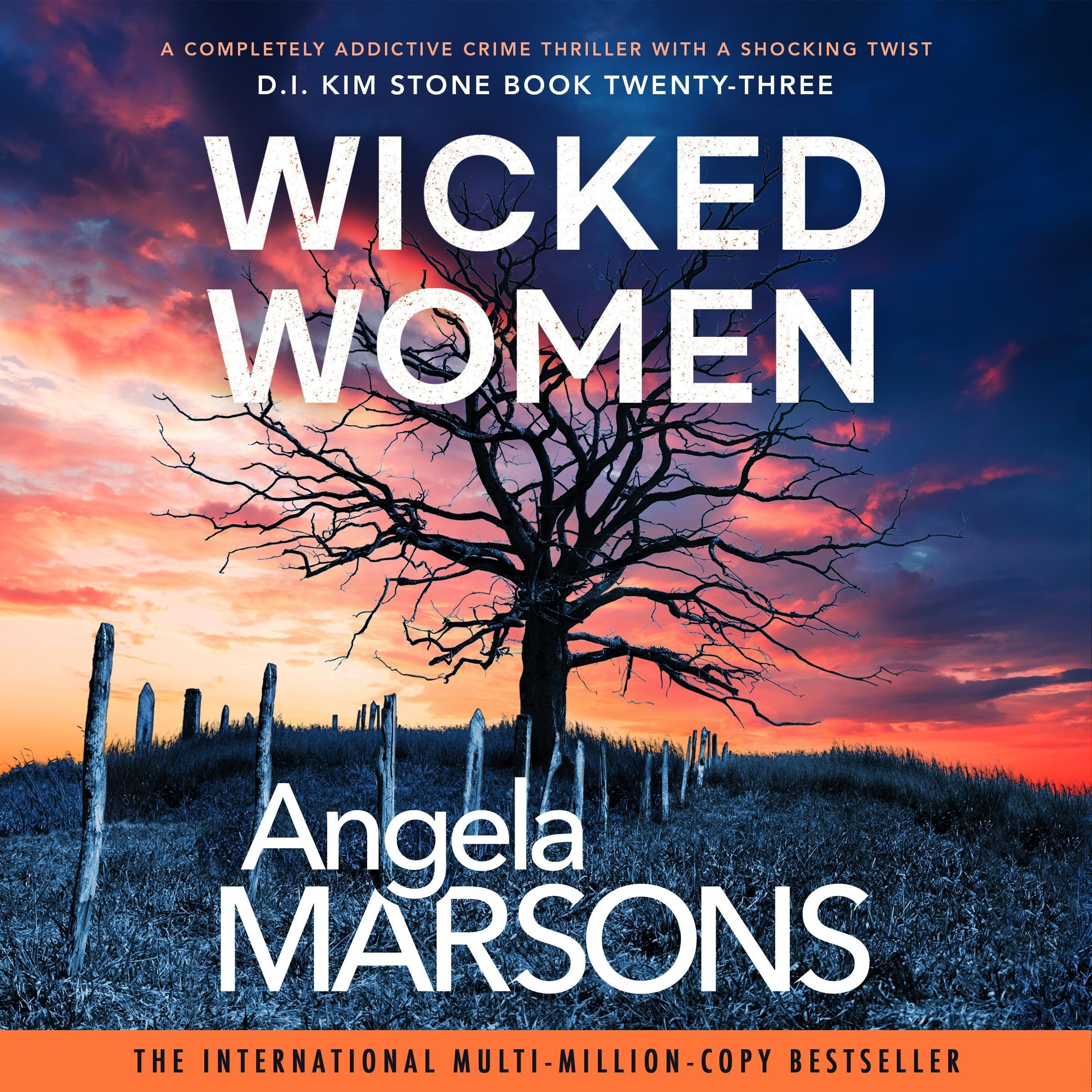 Cover art for Wicked Women