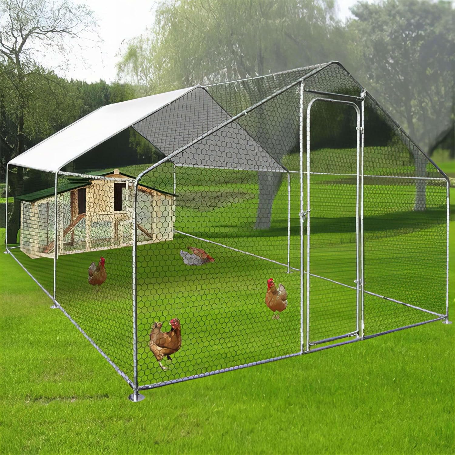 Zipper ZI-CR342 Pet Enclosure in a grassy outdoor setting, housing several chickens and a small wooden coop inside. The enclosure has a partial white roof cover for shade.