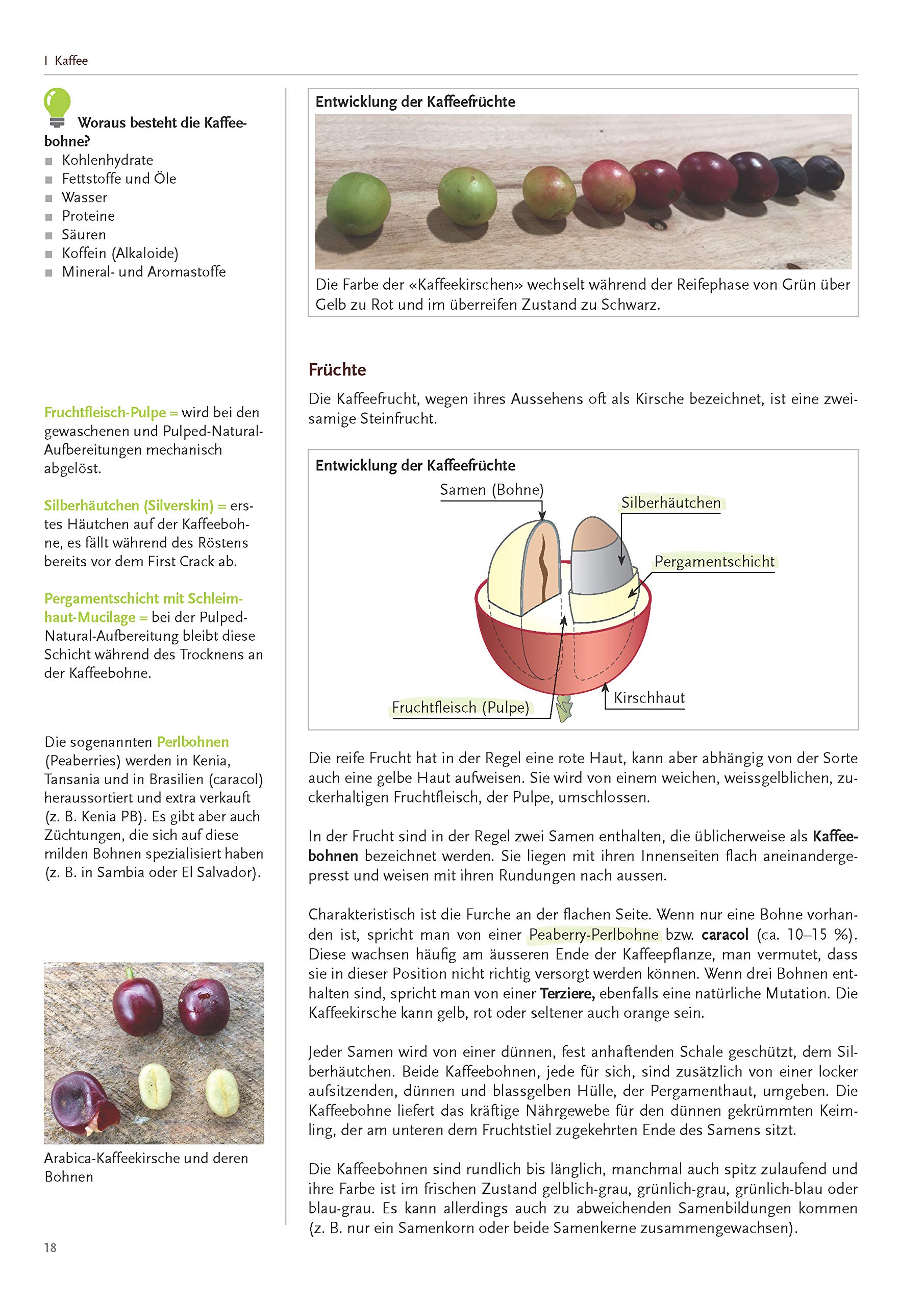 Barista (Servicelehrbuch-Reihe)