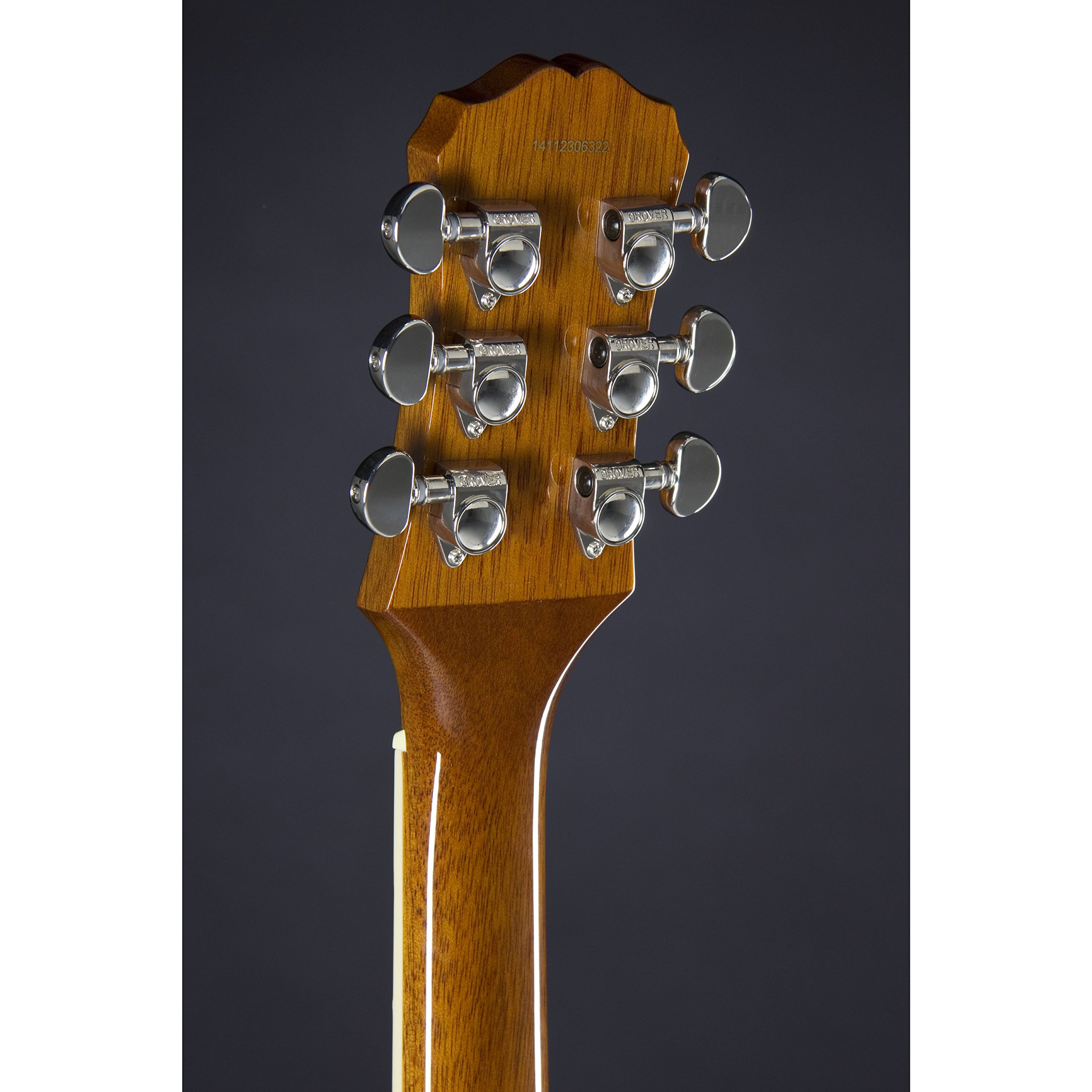 Epiphone Les Paul Standard Plus-Top Pro gitara elektryczna z