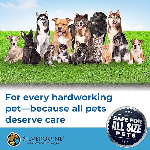 Miniatura 7 de Silverquine Advanced Active Hydrogel Wound and Skin Care for Dogs Cats Horses Protects and Fast Healing from Cuts Hotspot Burns Scratches Skin