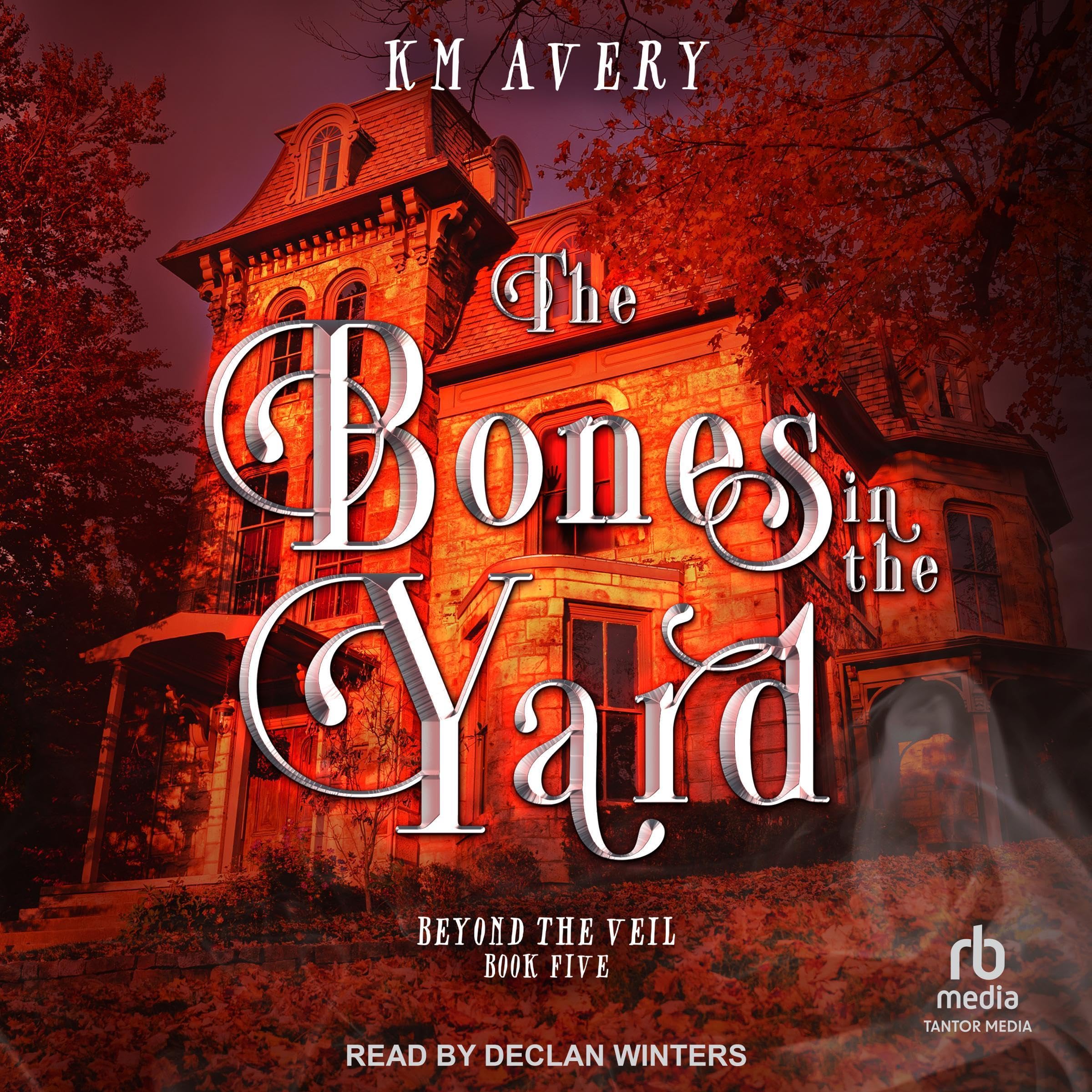 Cover art for The Bones in the Yard
