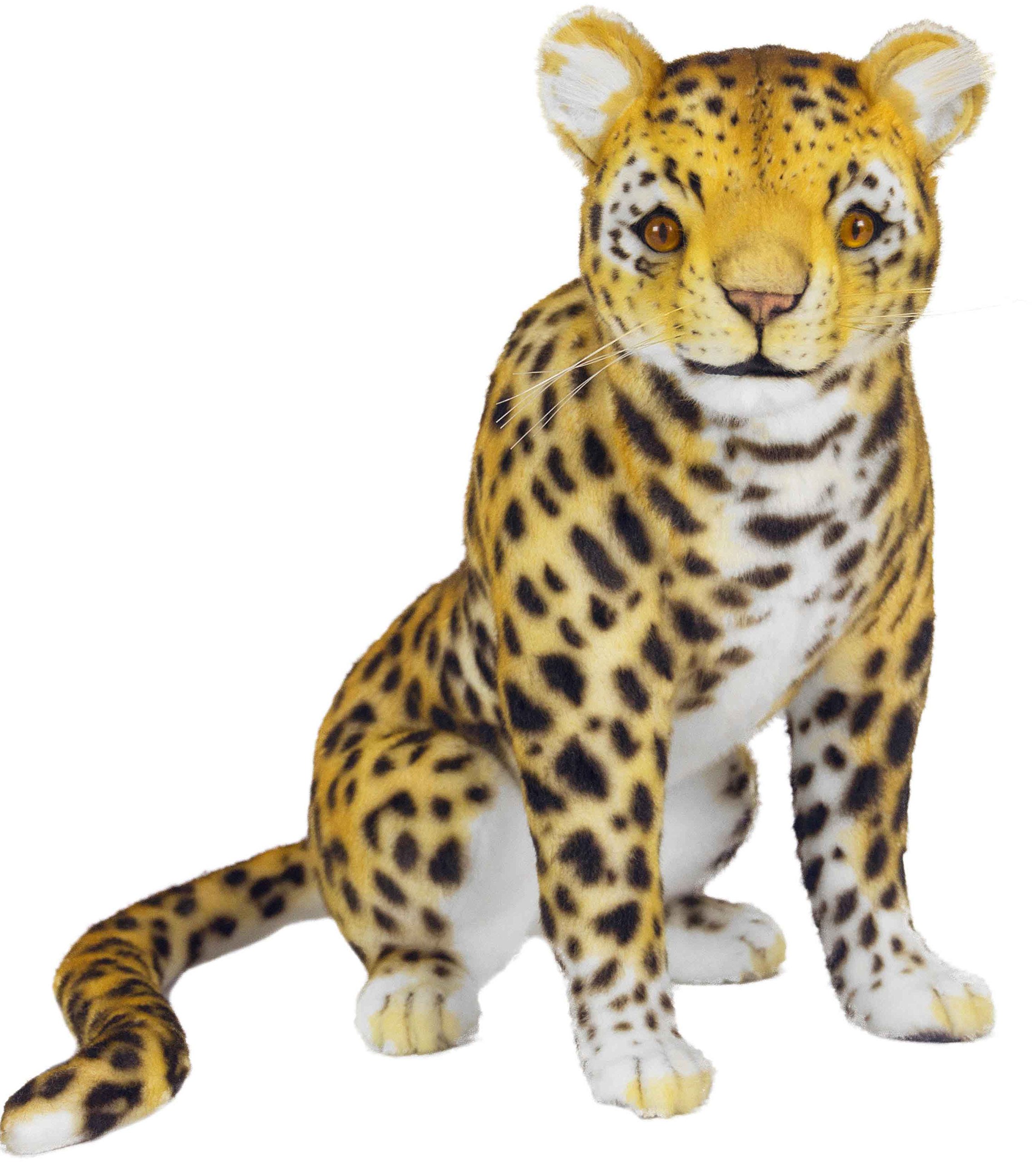 Amazon.co.jp: BH7005 HANSA ヒョウ40 : おもちゃ