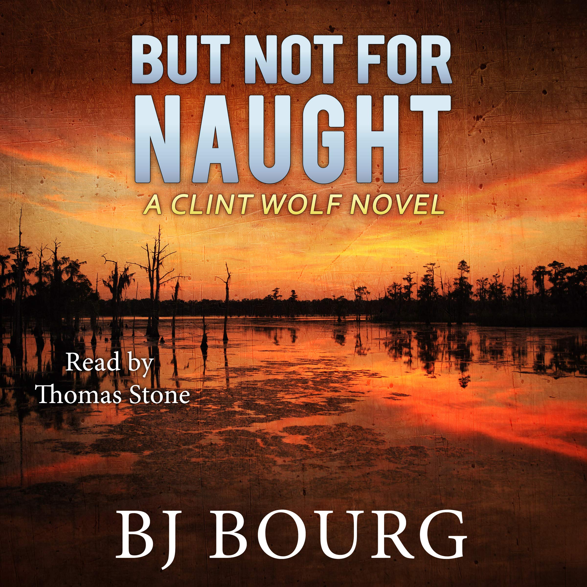 Cover art for But Not for Naught: A Clint Wolf Novel