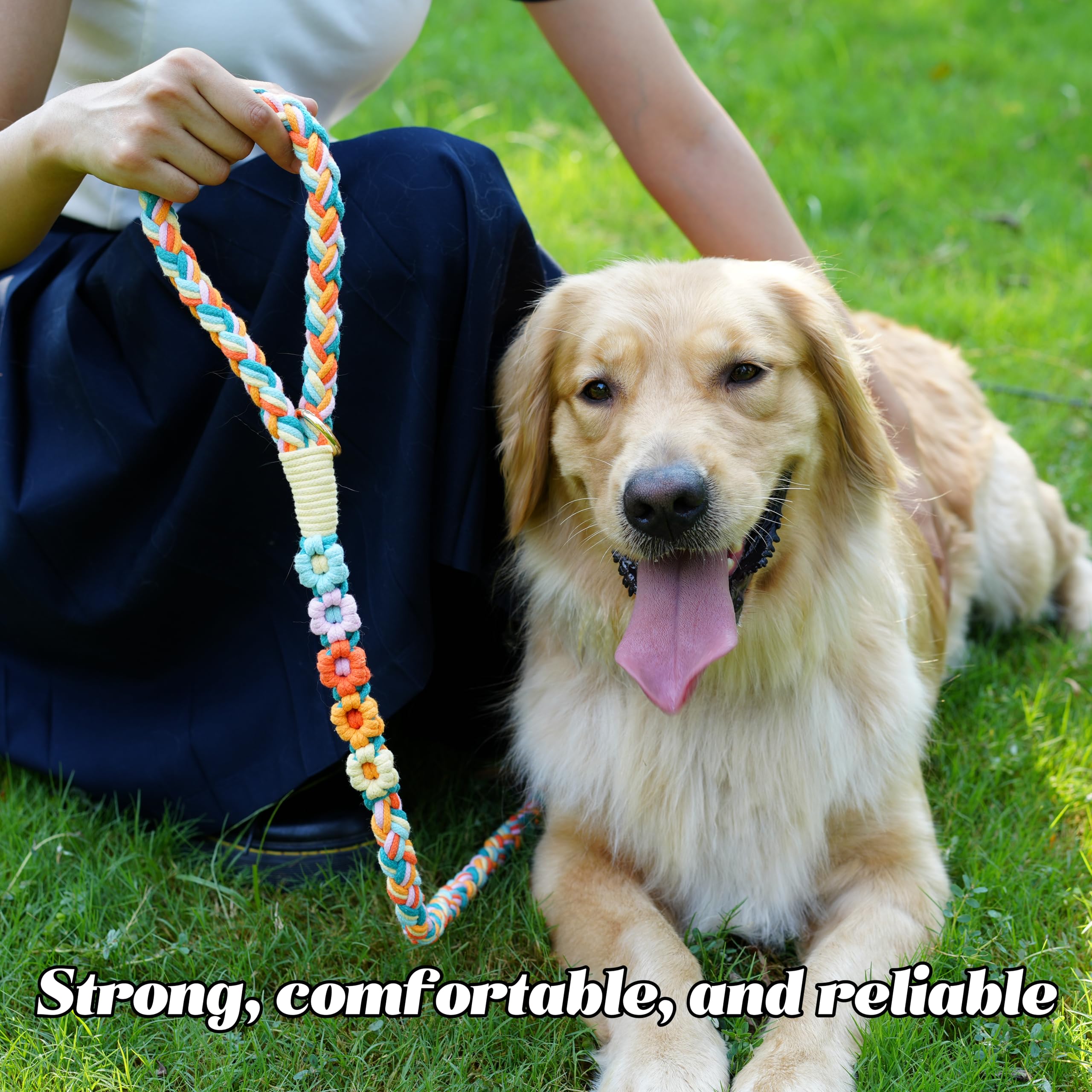 Correa de algodón Trenzado Hecha a Mano de 5 pies con Mango Floral único, Duradera y Elegante, Ideal para Perros pequeños a Grandes, Mezcla de arcoíris
