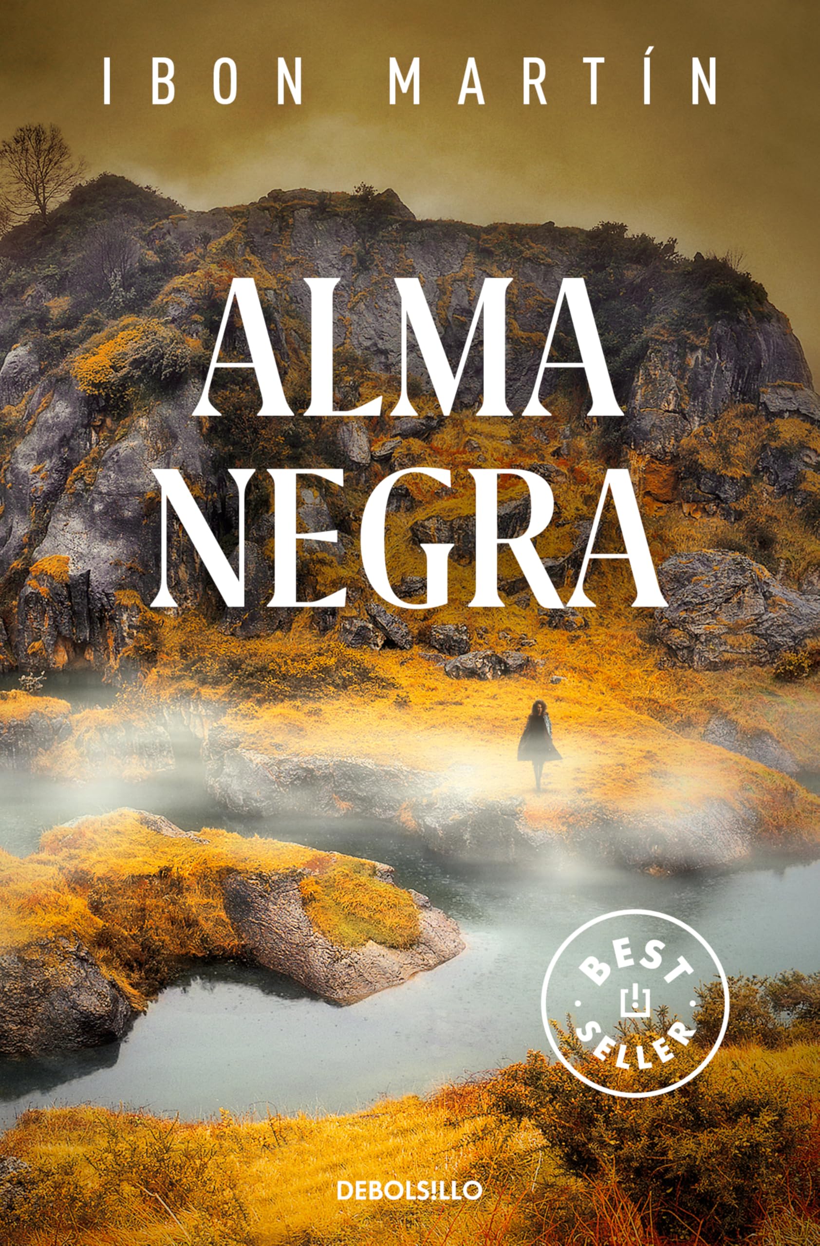 Inspectora Ane Cestero: edición estuche con: La danza de los tulipanes | La hora de las gaviotas | El ladrón de rostros | Alma negra (Best Seller)