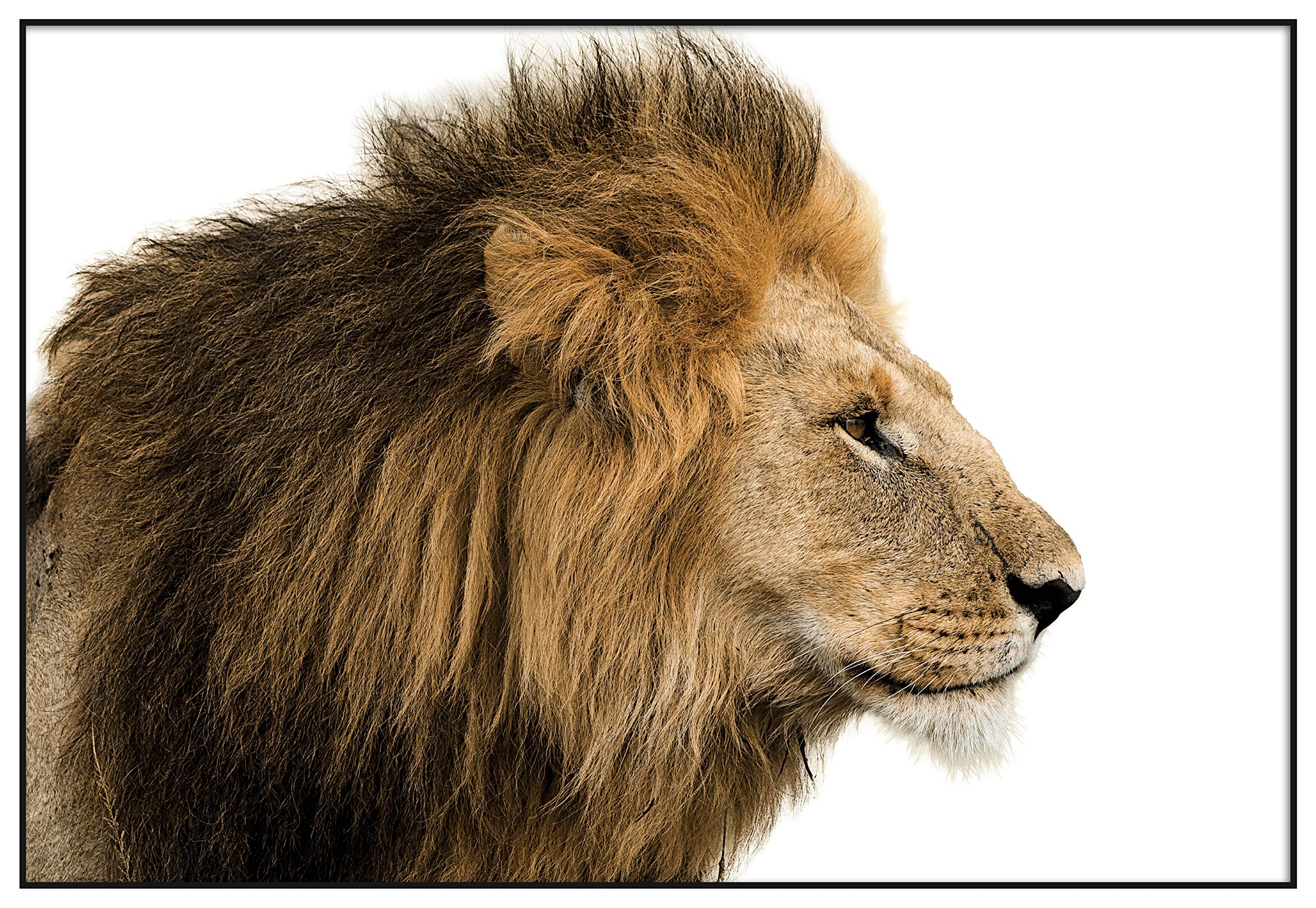 Animali Pantera Nero e Bianco Leopardo Pantera sulla parete Art Poster e Stampe Dipinto su tela per soggiorno Home Decor 30x60cm (12x24in) Senza cornice