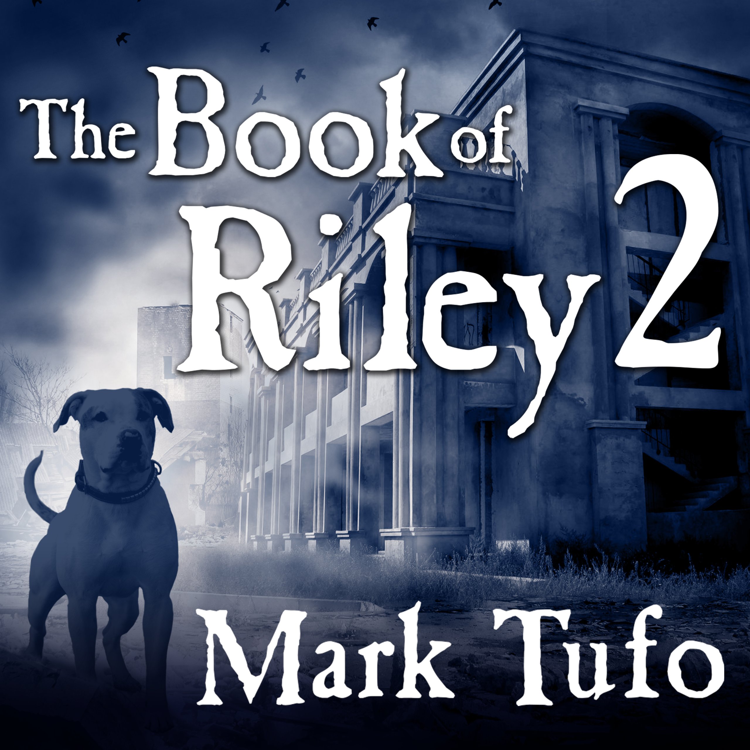 Cover art for The Book of Riley 2