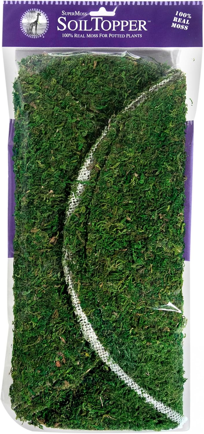 SuperMoss (26330) Moss Soil Toppers (Place Mats), Fresh Green, 18" (3 units)