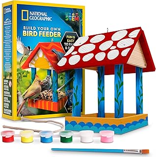 National Geographic Build Your Own Bird Feeder Kit – DIY Wooden Feeder C...