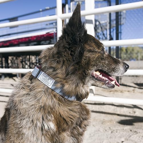 Miniatura 7 de HOOEY Mercantile - Collar para perro, correas de poliéster duraderas de 2 capas y tela facial para perro, mezclillarojo, talla M