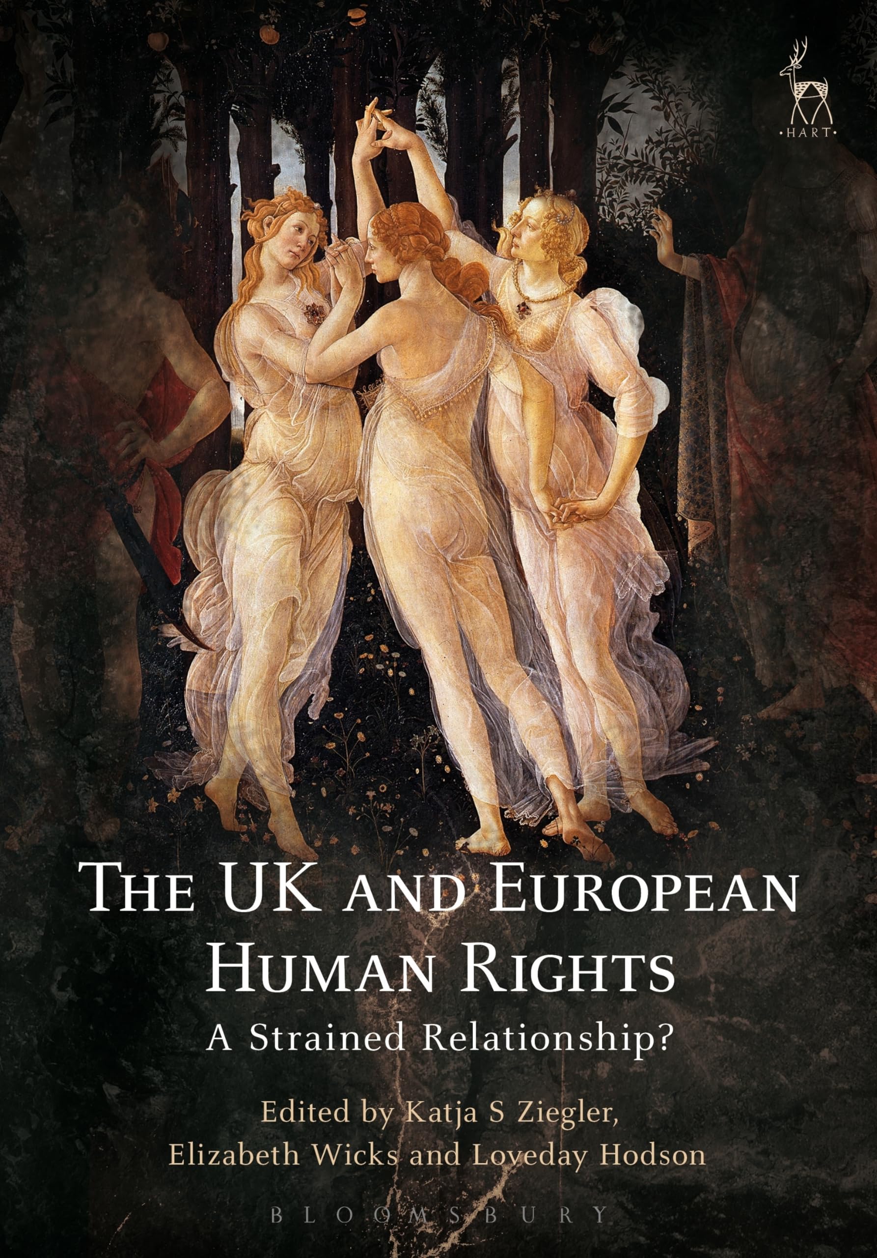 Buy The UK and European Human Rights: A Strained Relationship? (Modern Studies in European Law) — BookShops.in