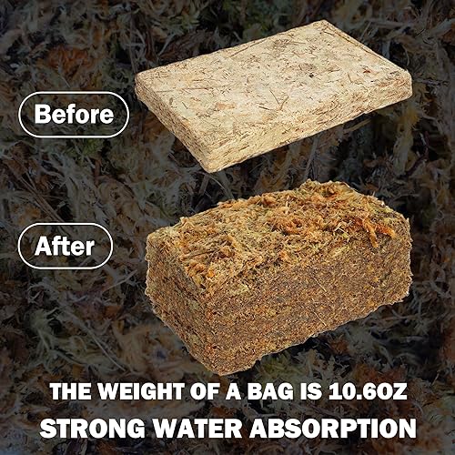 Miniatura 3 de Hourleey Musgo Sphagnum de 10.6 onzas para plantas, maceta de musgo seco de fibra larga natural de primera calidad, musgo de turba esfagnum a granel