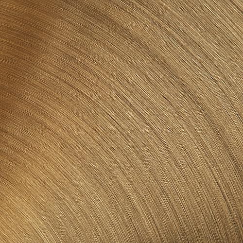 Miniatura 4 de Moderno aplique de pared de metal dorado cepillado de dos luces con bombilla y pantallas de vidrio transparente  Proporciona estilo y gracia a tu