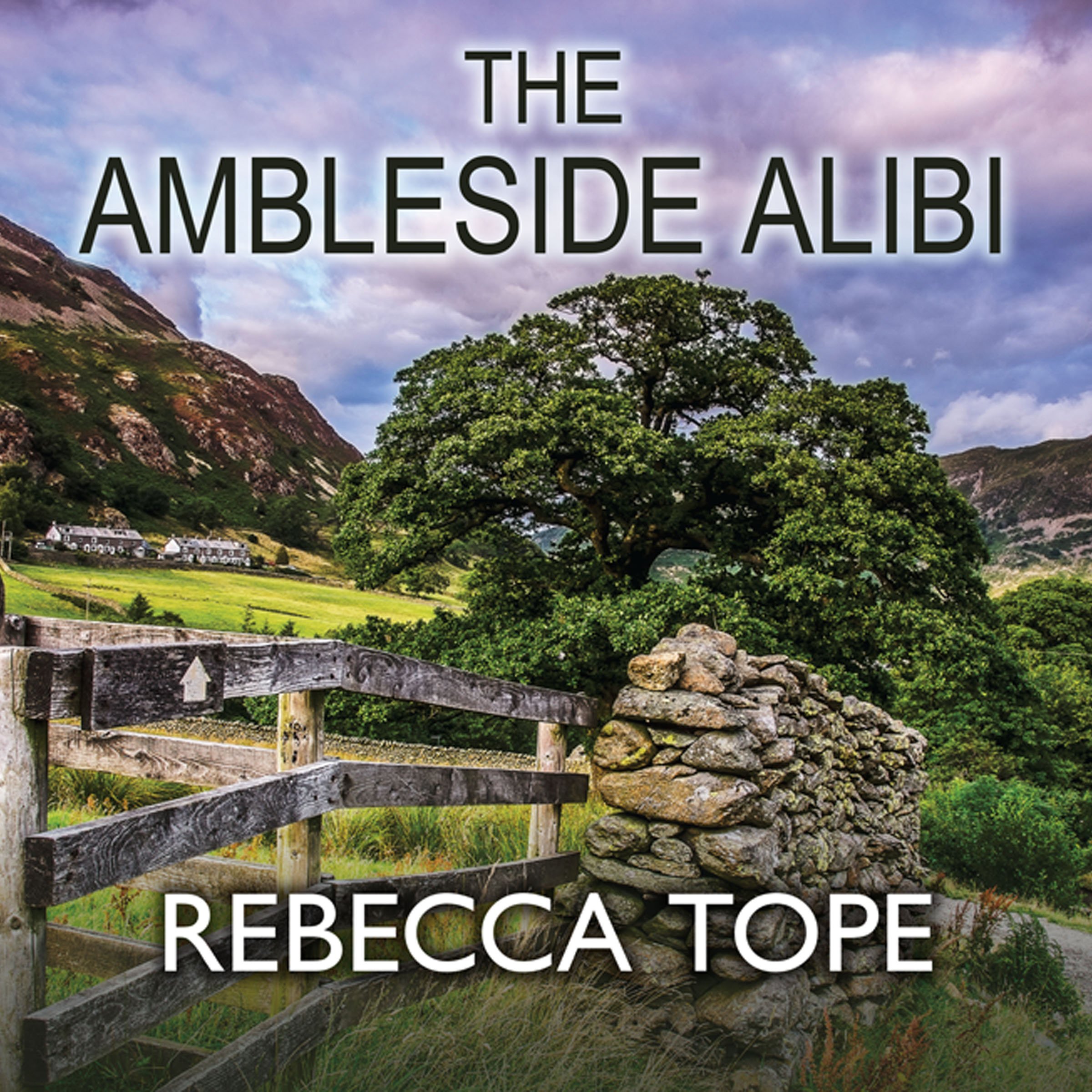 Cover art for The Ambleside Alibi