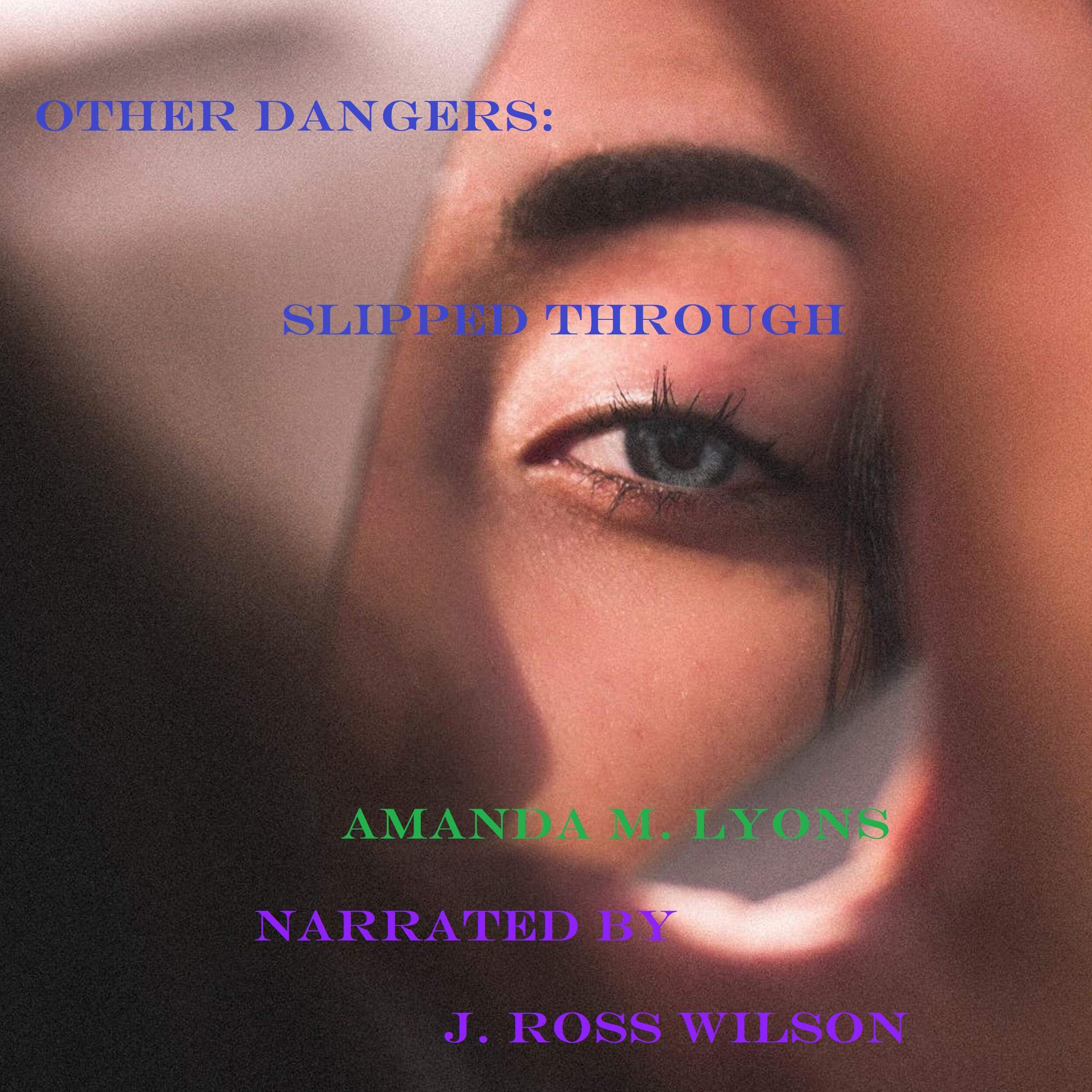 Cover art for Other Dangers: Slipped Through