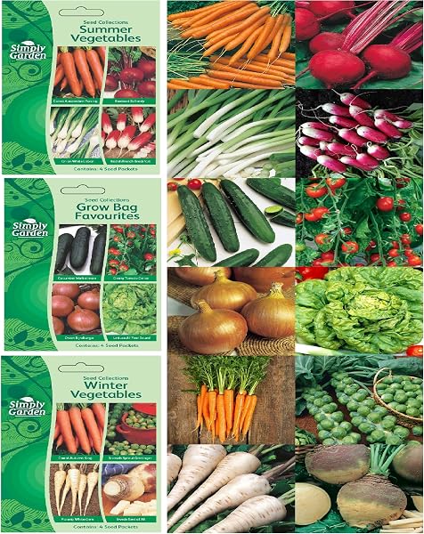 Simply Garden Beetroot Boltardy Seeds Root Vegetable Grow Your Own Garden - 2