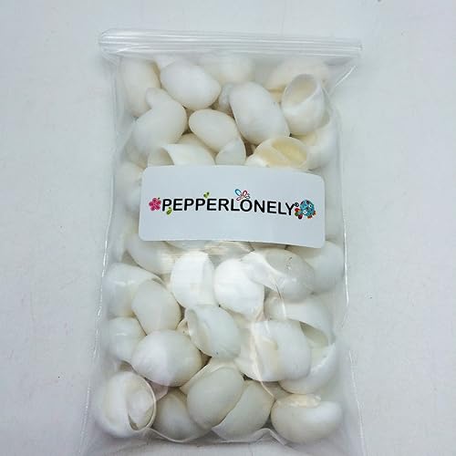 Miniatura 3 de PEPPERLONELY Conchas marinas de caracol blanco de Natica, 8 oz aprox. 60 caracoles de PC, 34 pulgadas  1-14 pulgadas