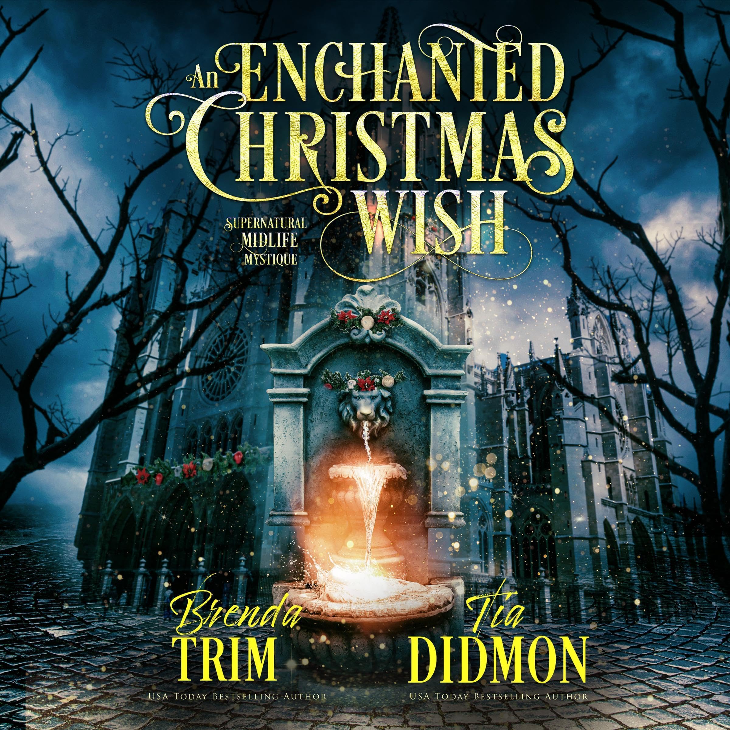 Cover art for An Enchanted Christmas Wish