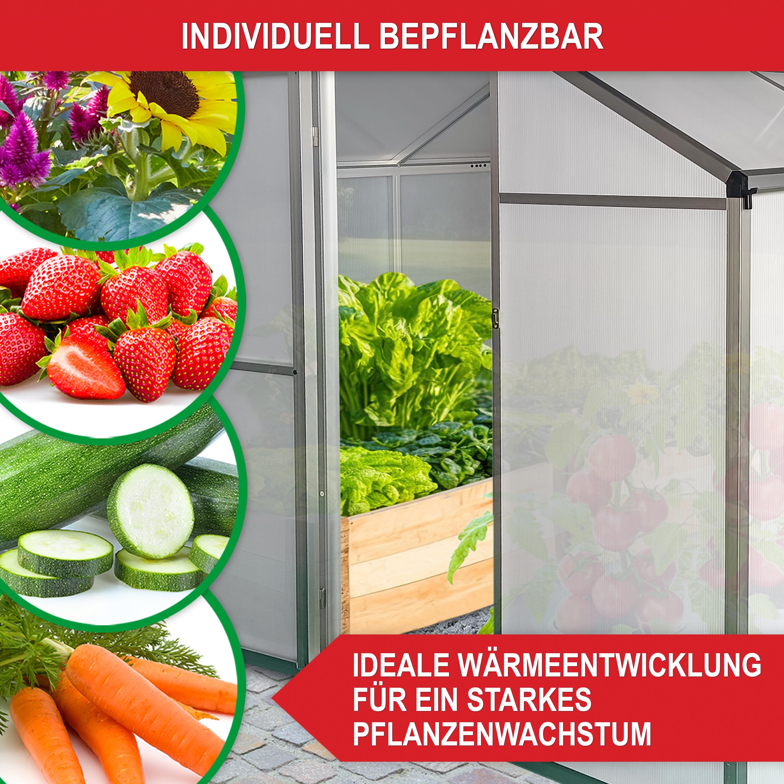 ONBEST stabiles Aluminium Gewächshaus mit Dachfenster – Garten Frühbeet ideal für die Anzucht von Tomaten Blumen – vielseitig nutzbar als Treibhaus, Tomatengewächshaus Pflanzenhaus (XXL)