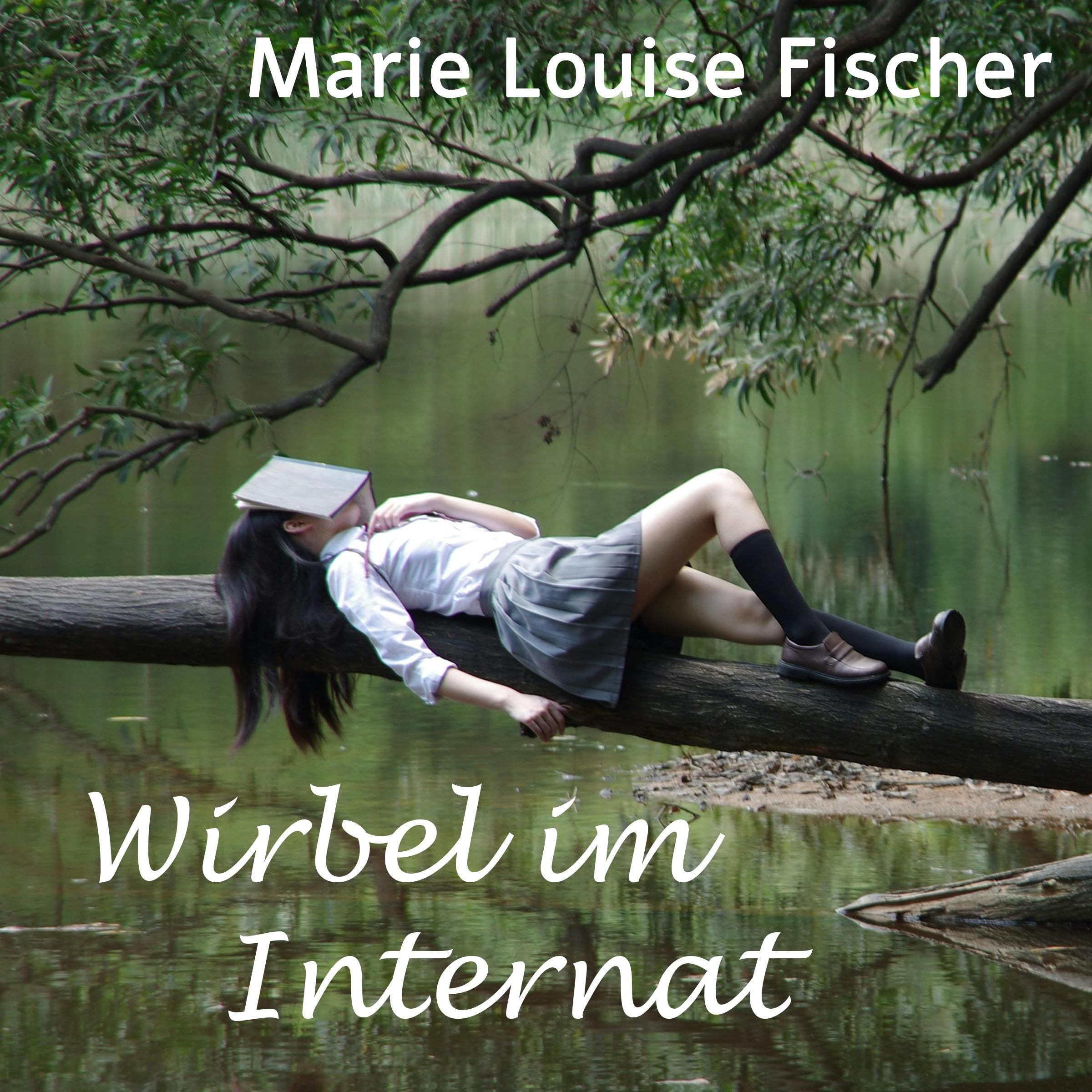 Cover art for Wirbel im Internat