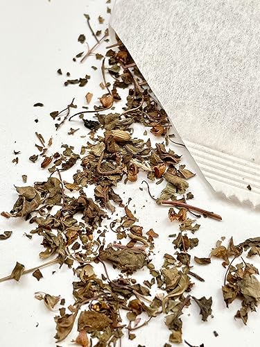 Vista 5 de Krishna - Té de albahaca sagrada – Serie de té de hierbas puro de Palm Beach Herbals (30 bolsas de té) 100% natural