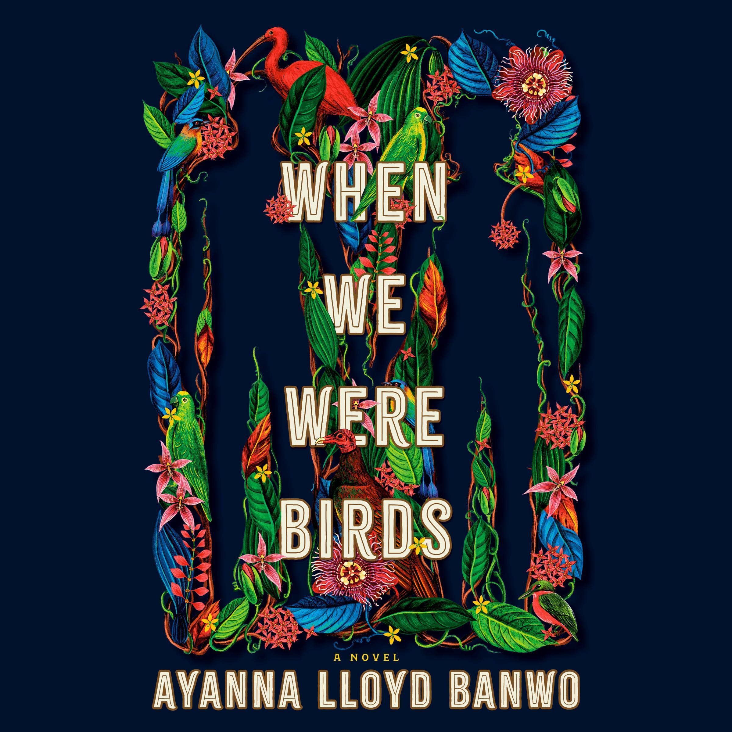 Cover art for When We Were Birds
