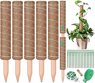 5 Pièces Tuteur Monstera, 42cm Tuteur Coco avec Bande, Serre-câble et Ficelle, Tuteurs Sphaigne Extensible jusqu'à 160cm, pour La Maison Jardin