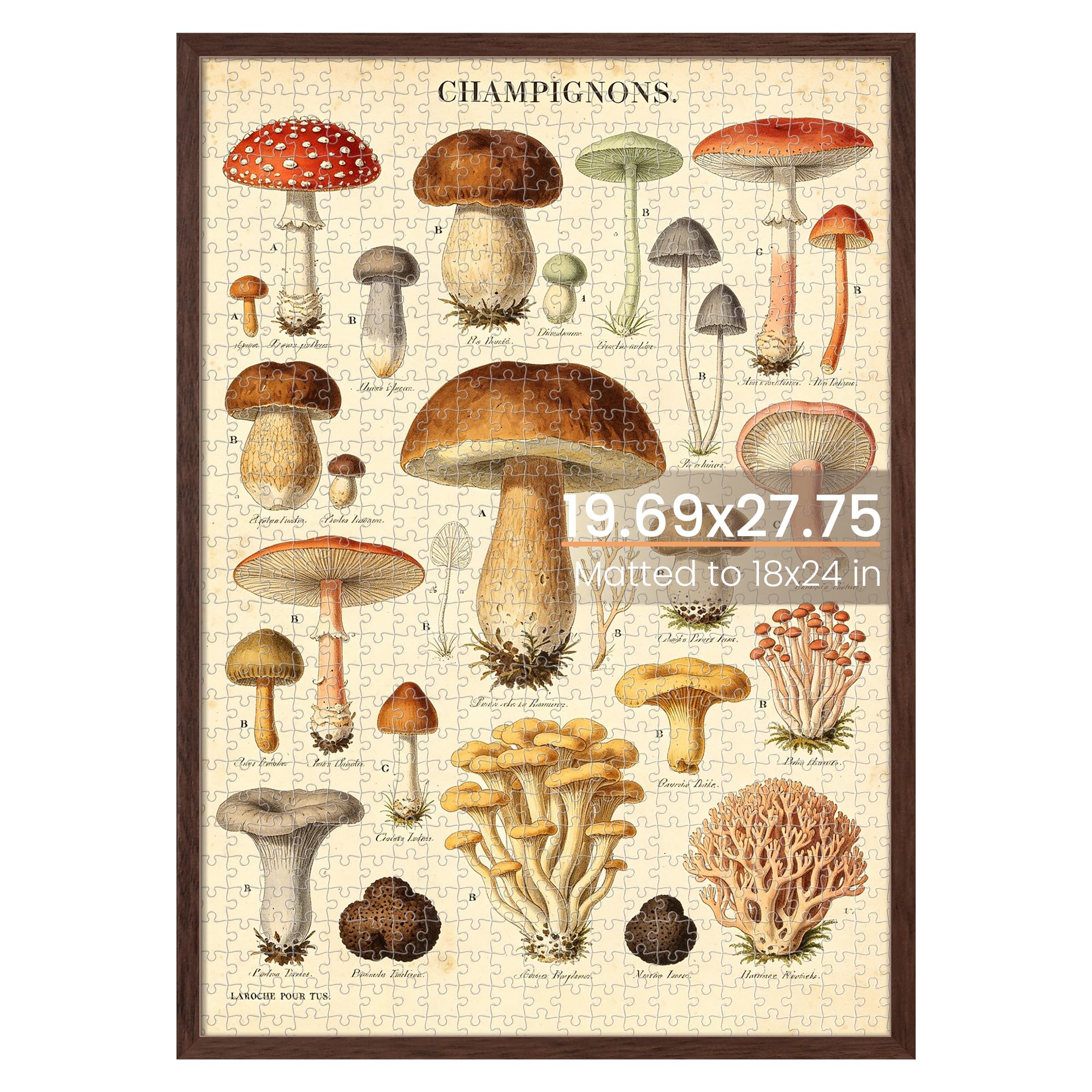 upsimples 50x70cm Puzzle frame, Wall Decor Poster Frames, Brown 1 Pack | 18x24in with Mat or 19.7 x 27.6 frame Without for 1000 Pieces Puzzles,Gallery Wall,Family,Baby,Dog,Dorm,Christmas