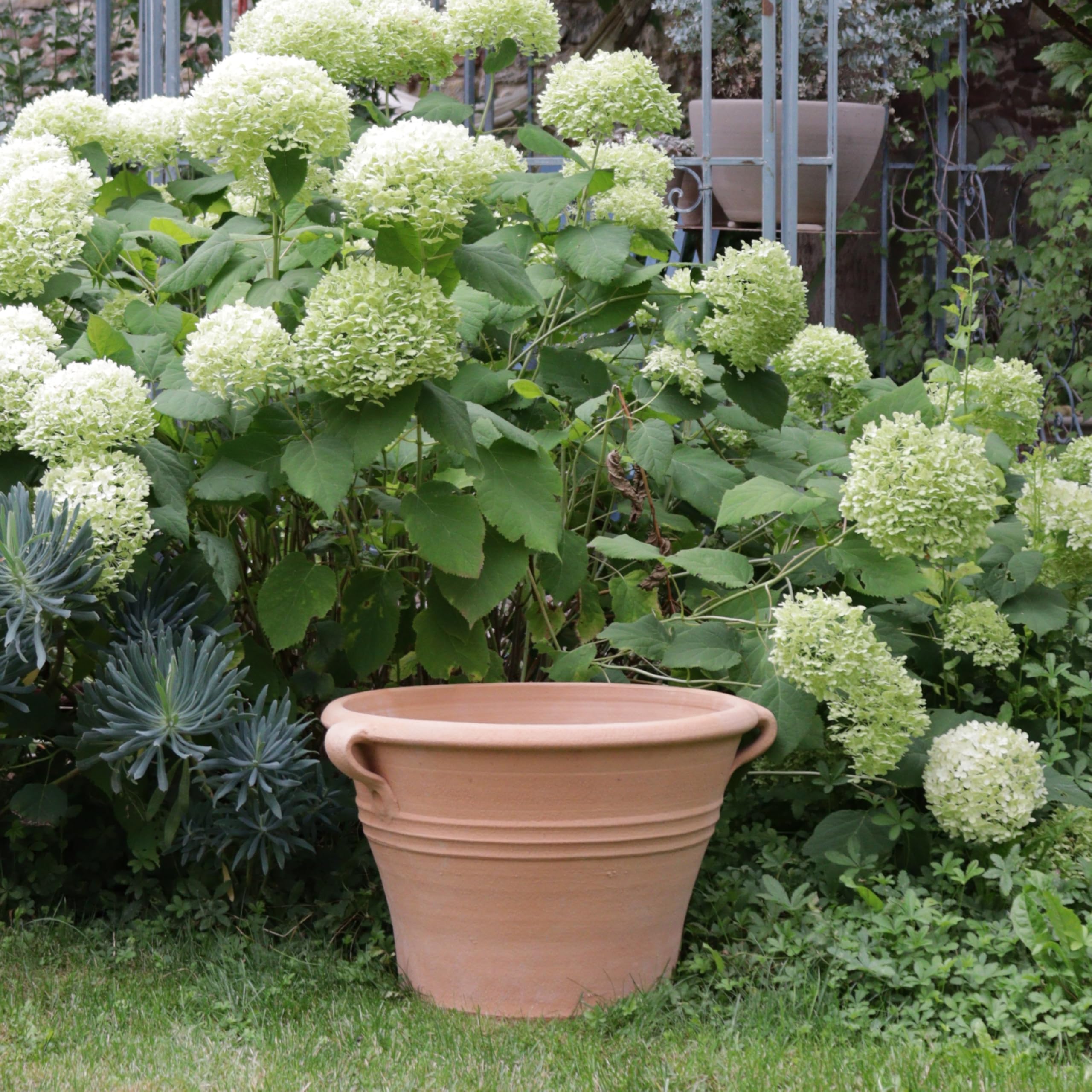 Palatina Werkstatt Vaso per piante in terracotta con manico, realizzato a mano e resistente al gelo, decorazione da giardino, 35 – 80 cm, rosa (altezza 35 cm)