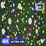 la gestion en ligne avis Refrescante paisaje sonoro natural