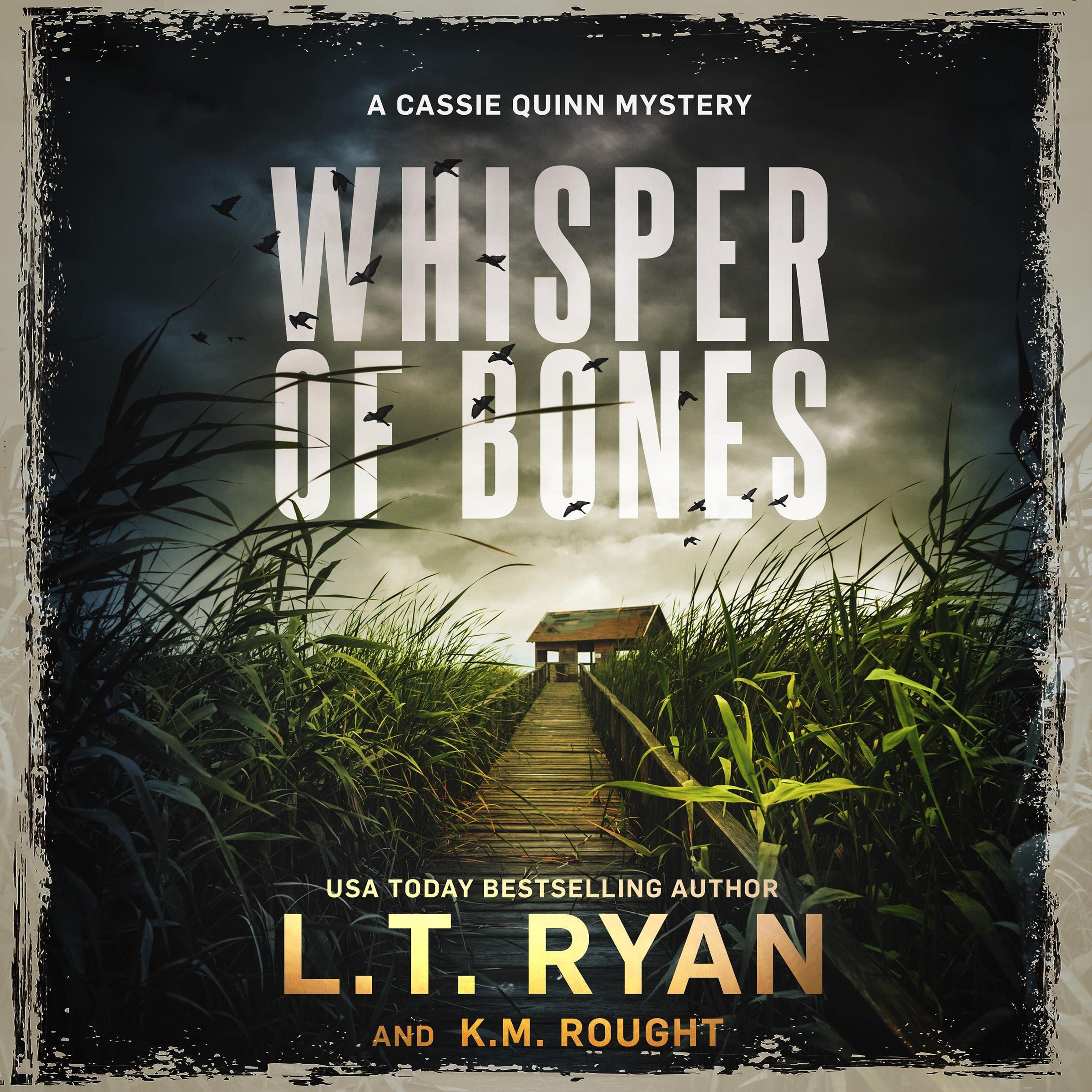 Cover art for Whisper of Bones
