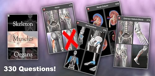 Anatomy Quiz Pro