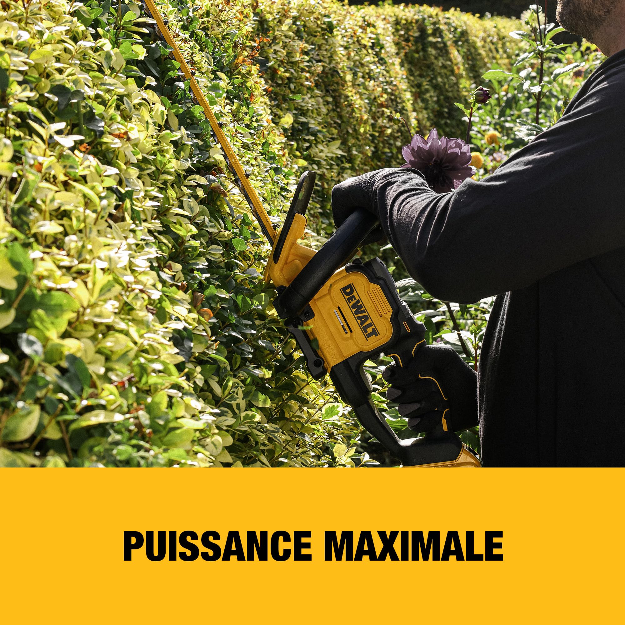 DEWALT Taille-haie 18V XR 60cm, Outil Seul, DCMHT567N-XJ