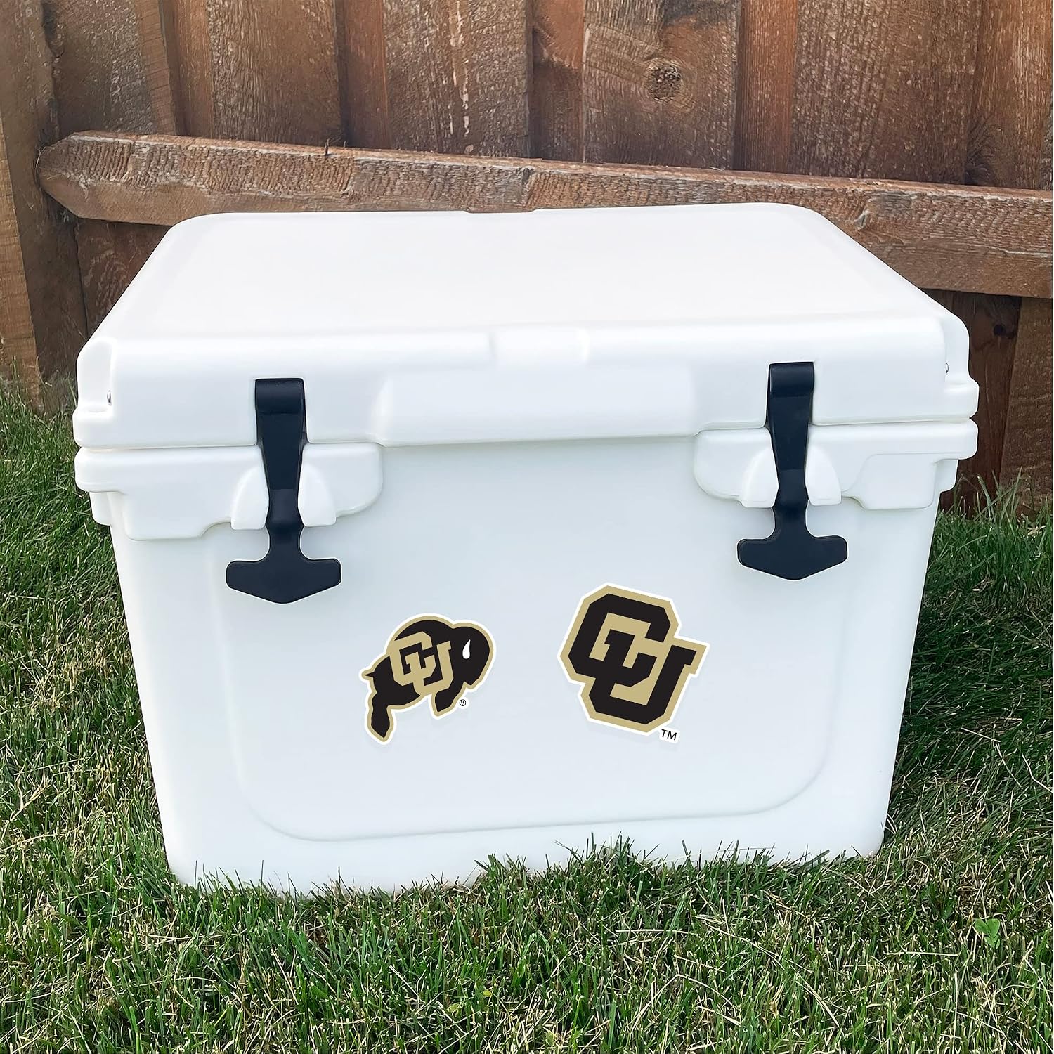 Desert Cactus University of Colorado Buffaloes Buffs Sticker Vinyl Decals Laptop Water Bottle Car Scrapbook Sheet T1 (Type 1-1)