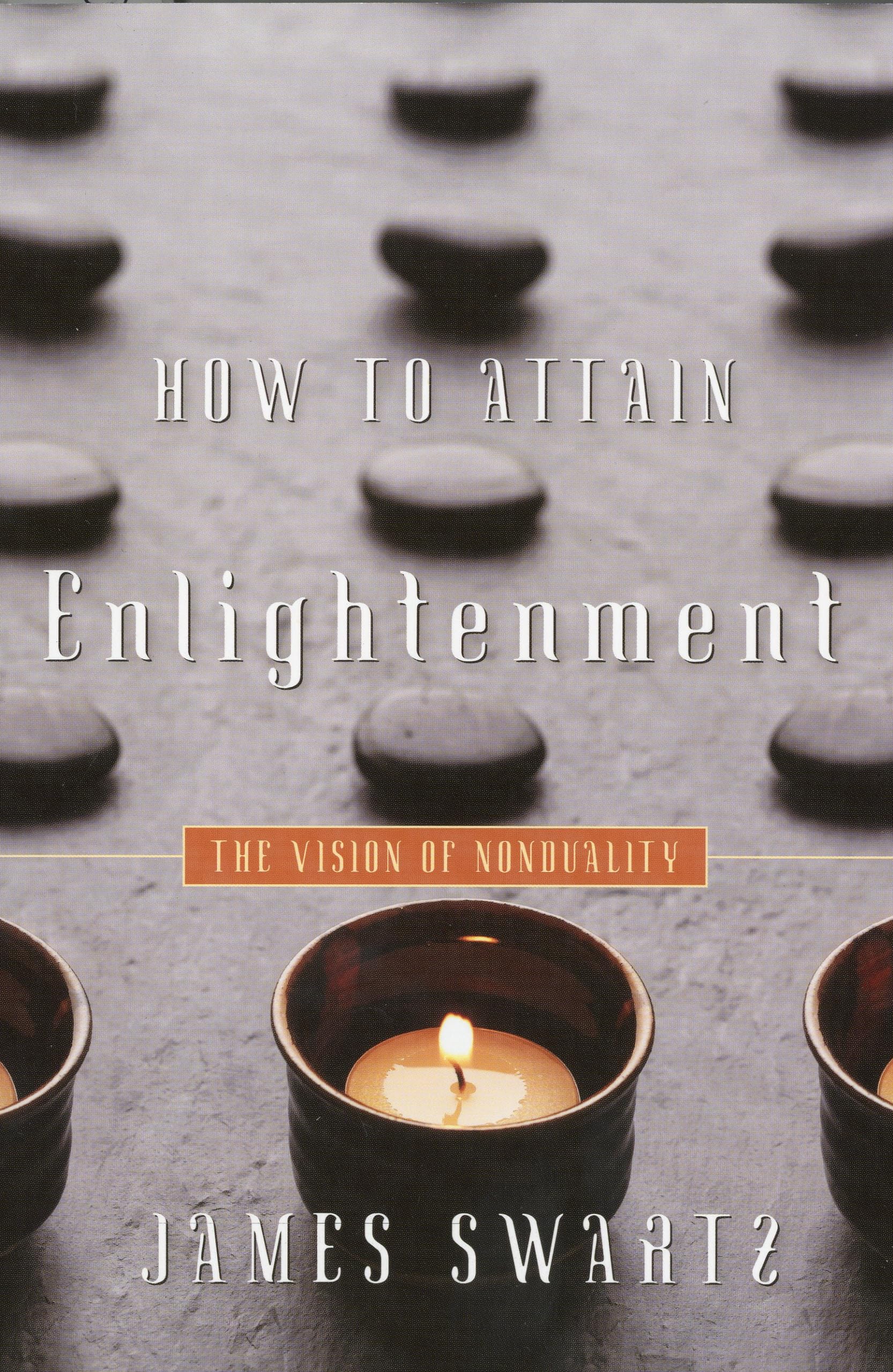 How to Attain Enlightenment: The Vision of Nonduality Paperback – February 16, 2010