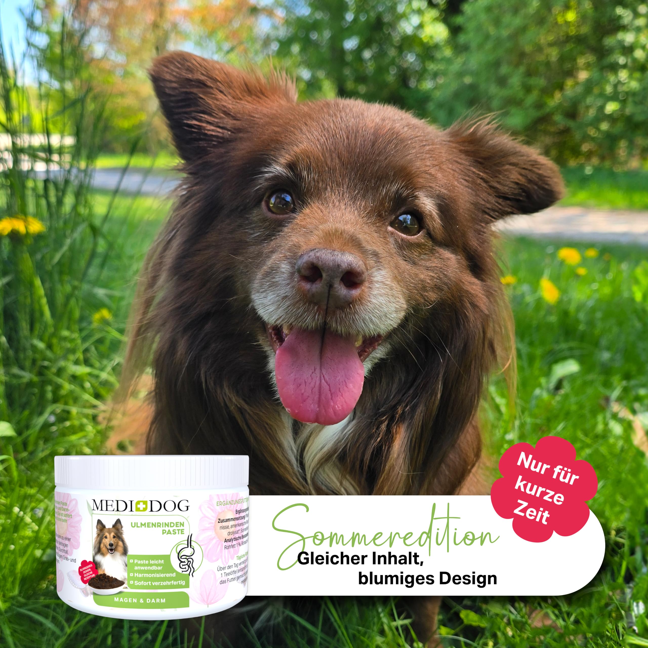 MEDIDOG 500g Premium Ulmenrinden-Paste für Hunde sofort verzehrfertig mit Slippery Elm Bark | unterstützt eine gesunde Verdauung & Normale Kotkonsistenz