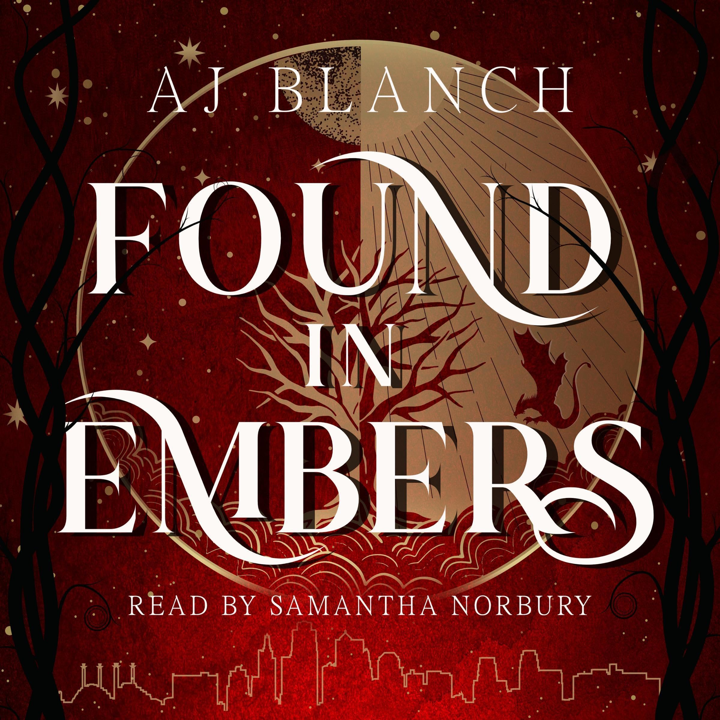 Cover art for Found in Embers