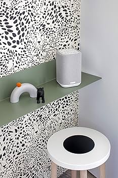 Amazon.co.jp: デノン Denon DENONHOME150 ネットワーク