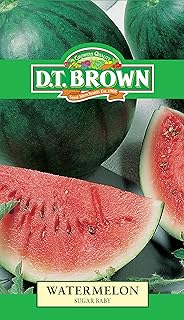 DT Brown Watermelon Sugar Baby Seeds
