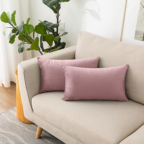 Vista 51 de NiNi ALL Fundas de almohada decorativas de terciopelo suaves para sofá, dormitorio, sala de estar, exteriores, paquete de 2 unidades, 18 x 18 Aqua