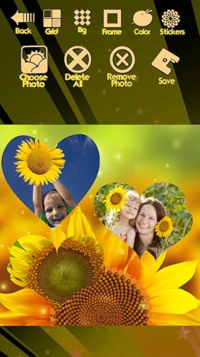 Colagem de fotografia de girassol