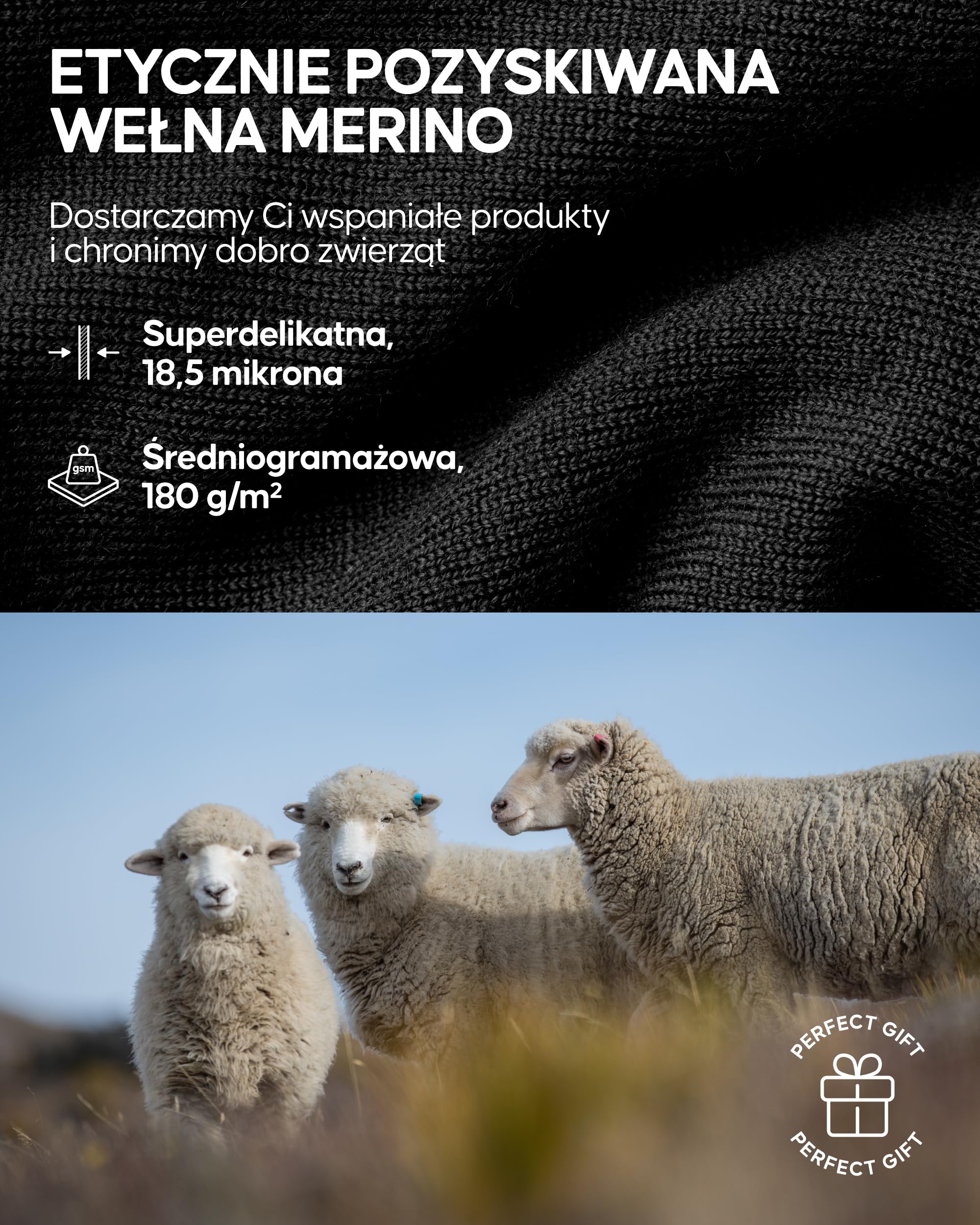 DANISH ENDURANCE Damskie Koszulki Merino Termoaktywne z Długim Rękawem, Bielizna Termoaktywna, Bluzki Termiczne dla Kobiet, Bielizna Zimowa