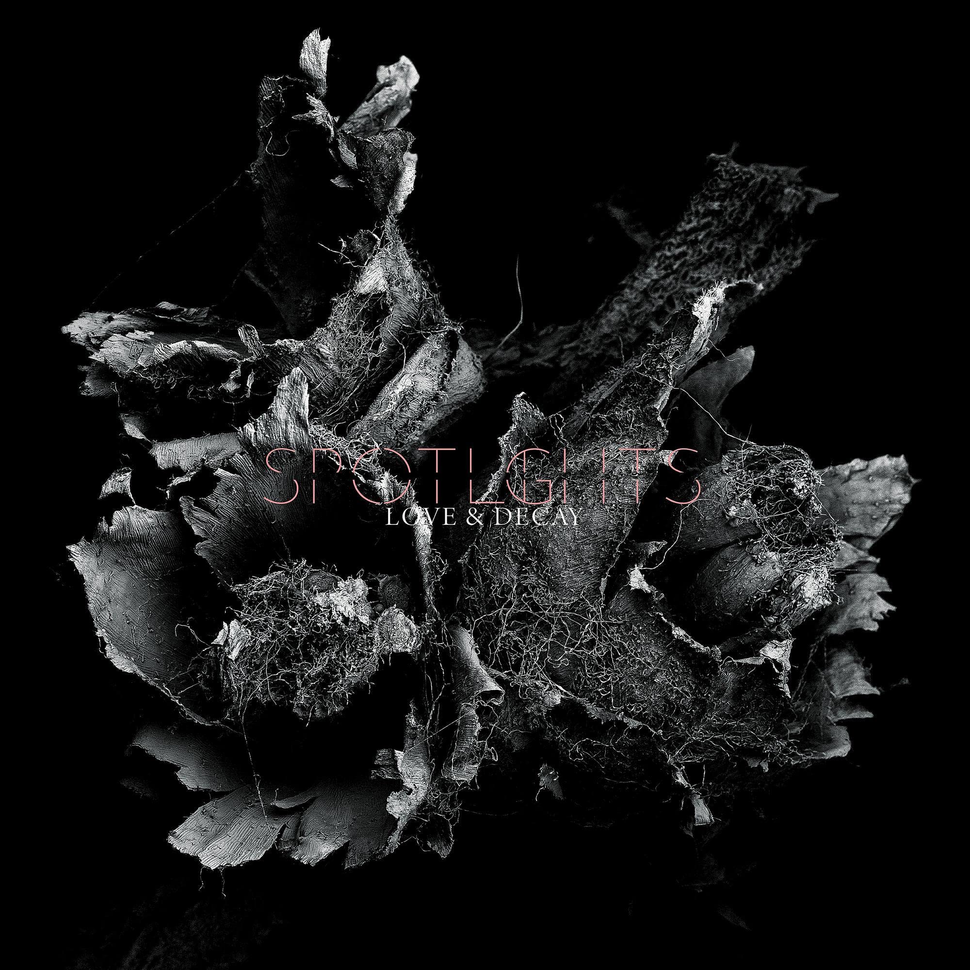 Love & Decay [VINYL]