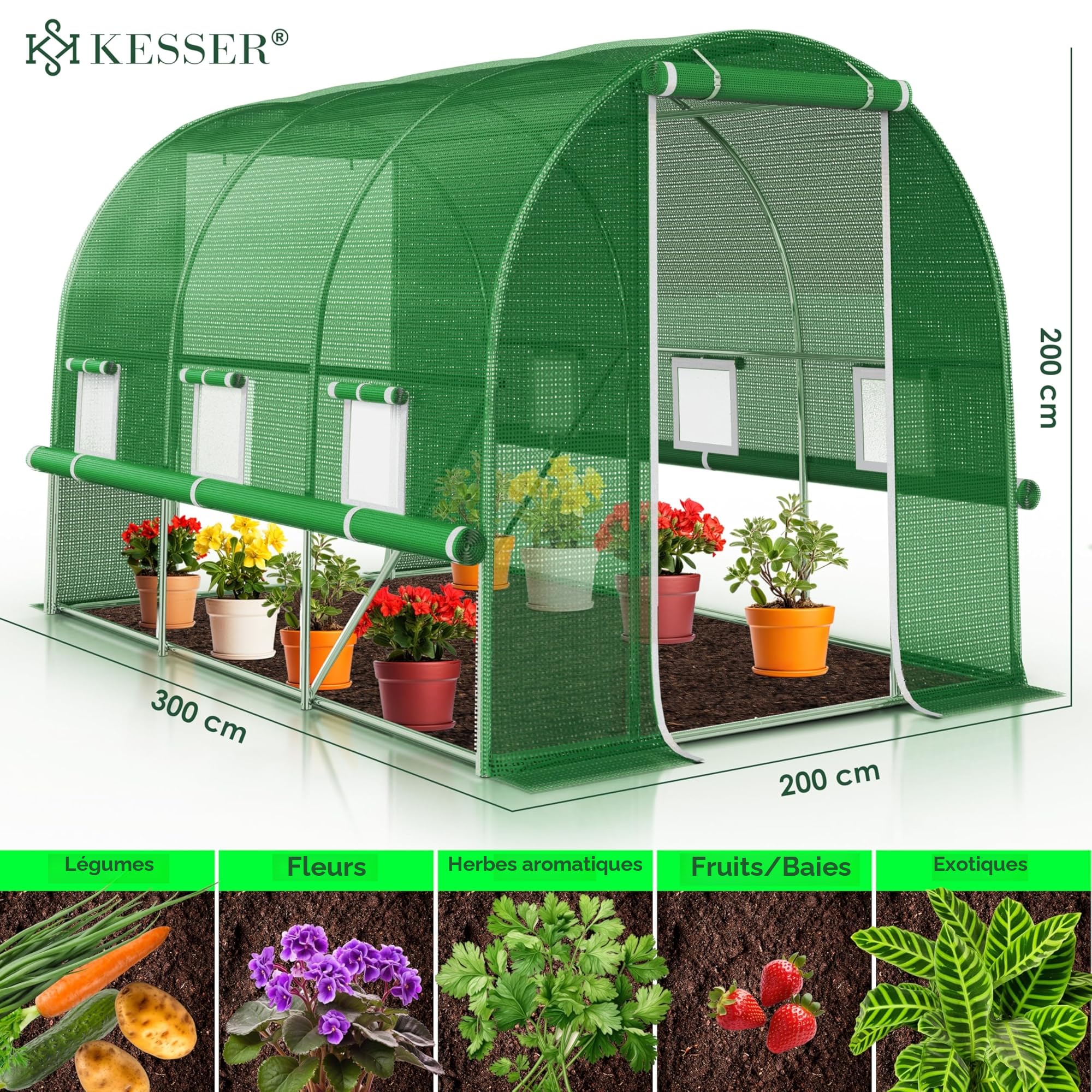 KESSER® Serre en film stable avec 6 fenêtres avec moustiquaire et porte | Tunnel de jardin avec cadre en acier galvanisé | Tunnel en film 170 g/m² avec piquets d'ancrage au sol gants et cordes | 200 x