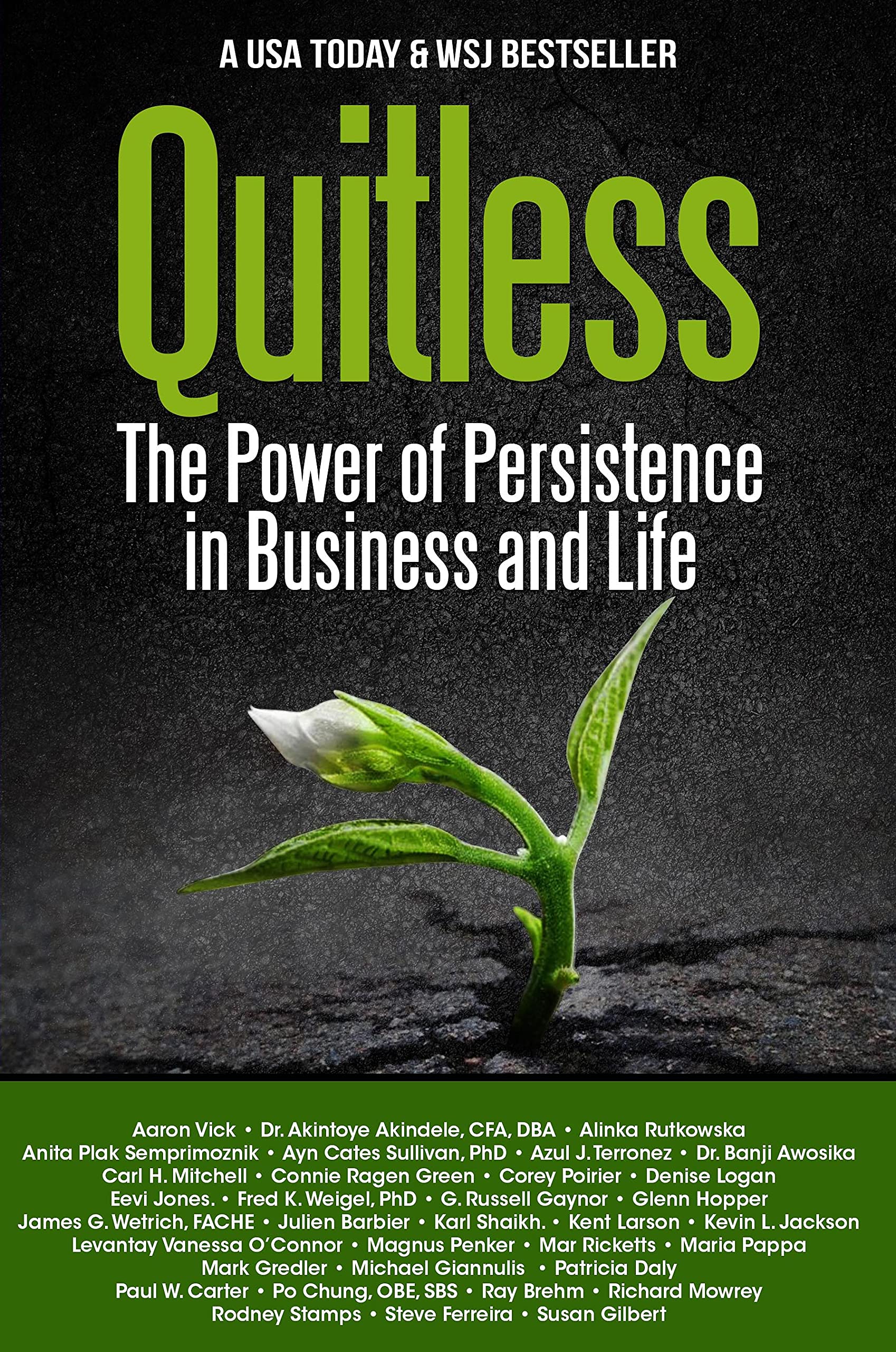 Quitless: The Power of Persistence in Business and Life