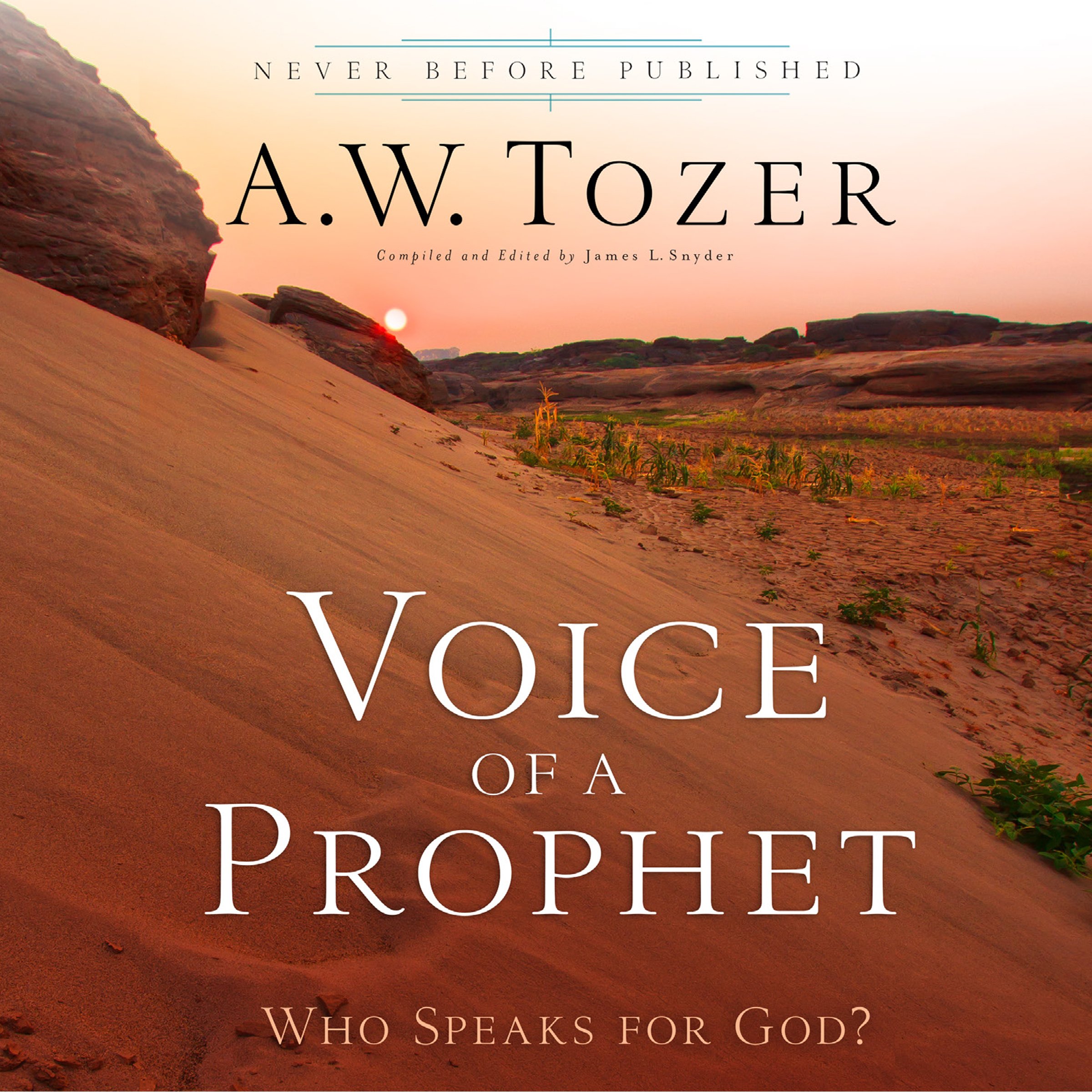 Cover art for Voice of a Prophet