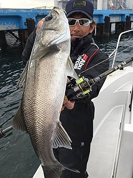 Amazon | AbuGarcia (アブガルシア) ソルティーステージPRM フェ