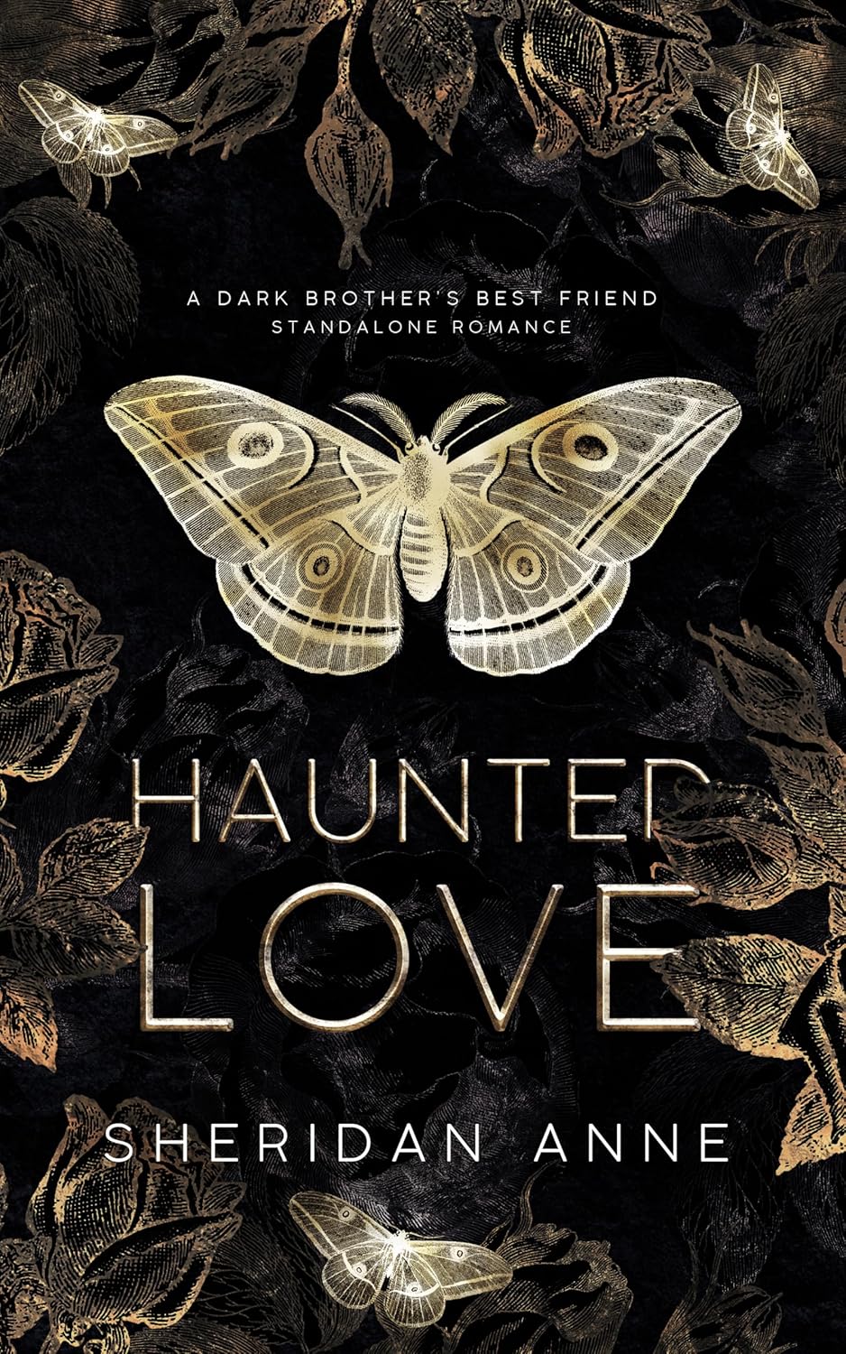 Haunted Love A Dark Brother's Best Friend Standalone Romance (English